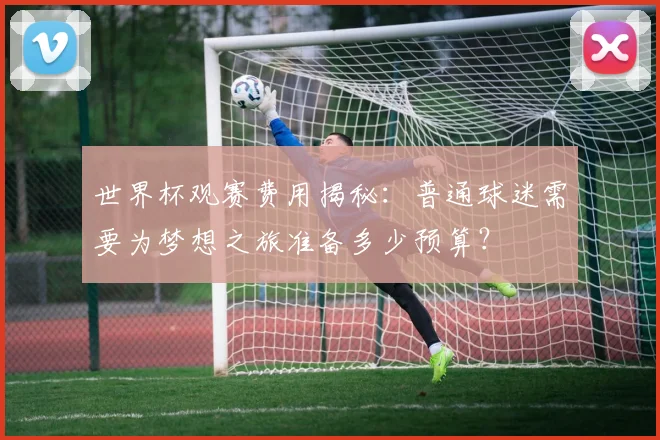 世界杯观赛费用揭秘:普通球迷需要为梦想之旅准备多少预算?
