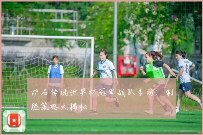 炉石传说世界杯冠军战队专访：制胜策略大揭秘