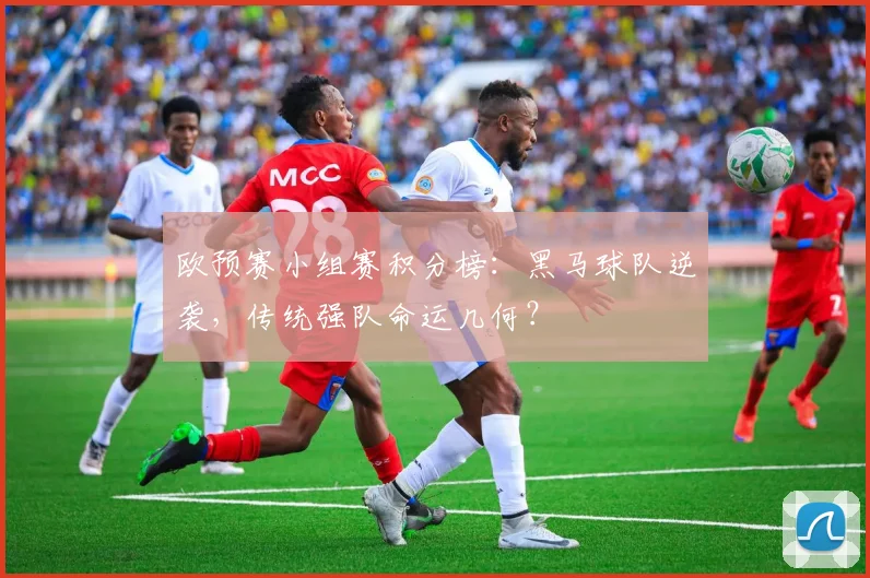 欧预赛小组赛积分榜：黑马球队逆袭，传统强队命运几何？